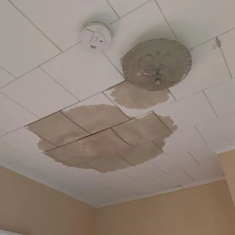 Ceiling Water Damage Repair in Sturbridge, MA