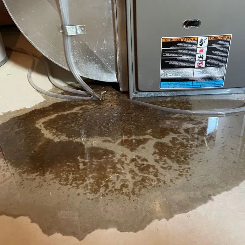 Pipe Burst and Leak Restoration in Sturbridge, MA